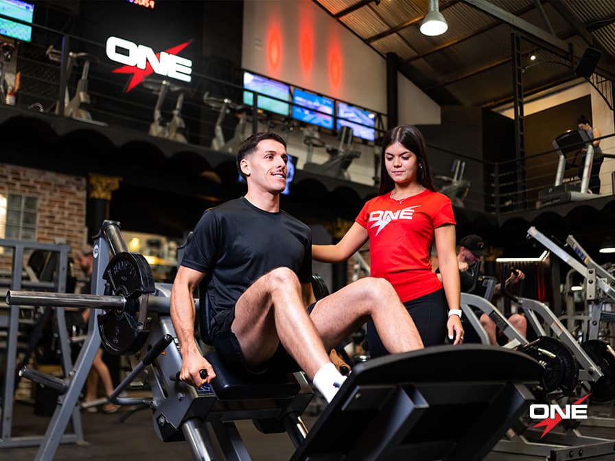 Vista previa de galería 3